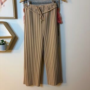 Isalis Pleated Wide Leg Pants Small